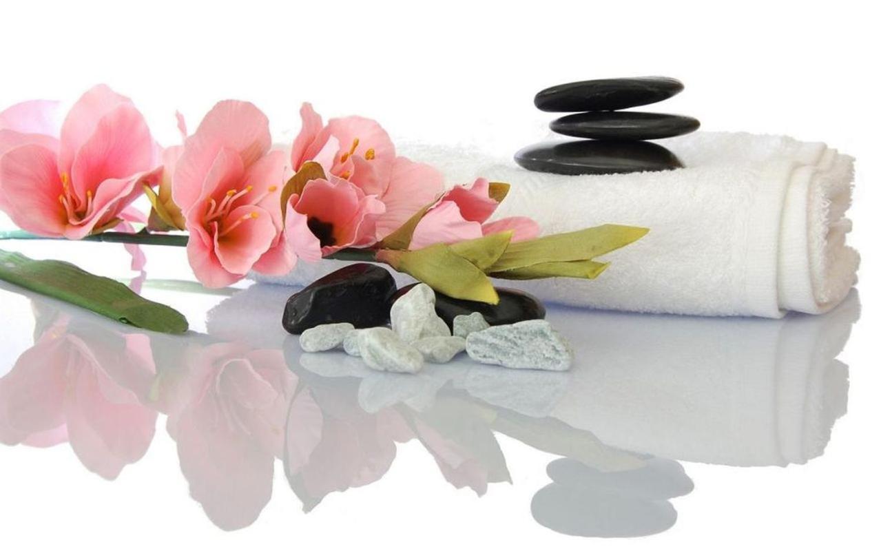 Pensjonat Spa U Tomasza ニエホジェ エクステリア 写真